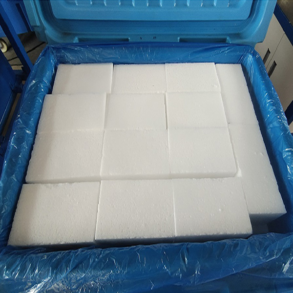 Dry ice storage container 01