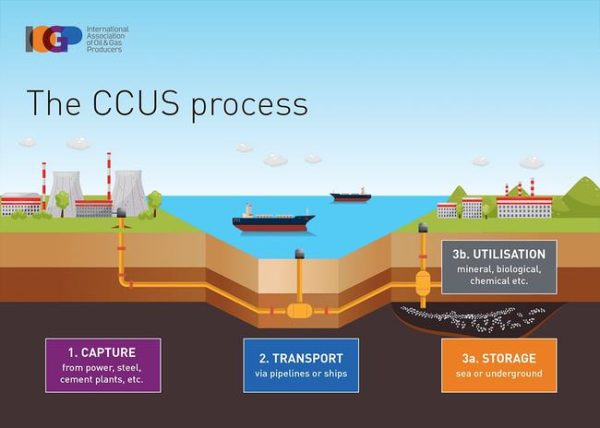 Long-term development of CO2 CCUS technology in cement industry - NEWTEP