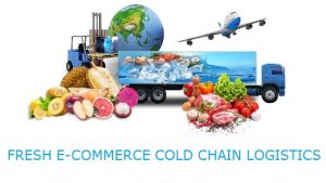 Dry ice- cold chain logistics