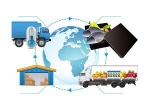 cold chain logistics